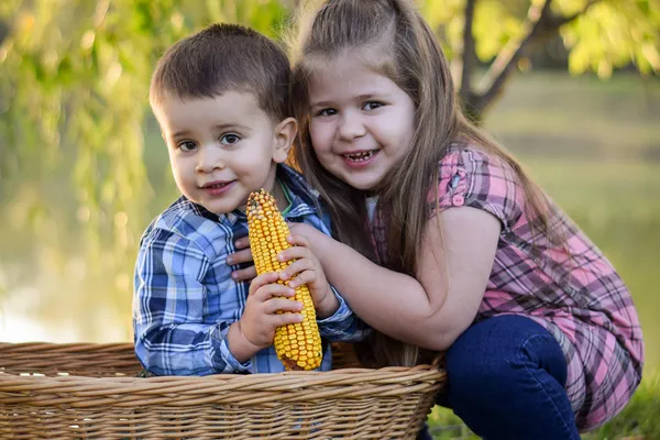 Egy gyönyörű család járt nálam, akikkel elkészítettük őszi sorozatukat! Köszönöm